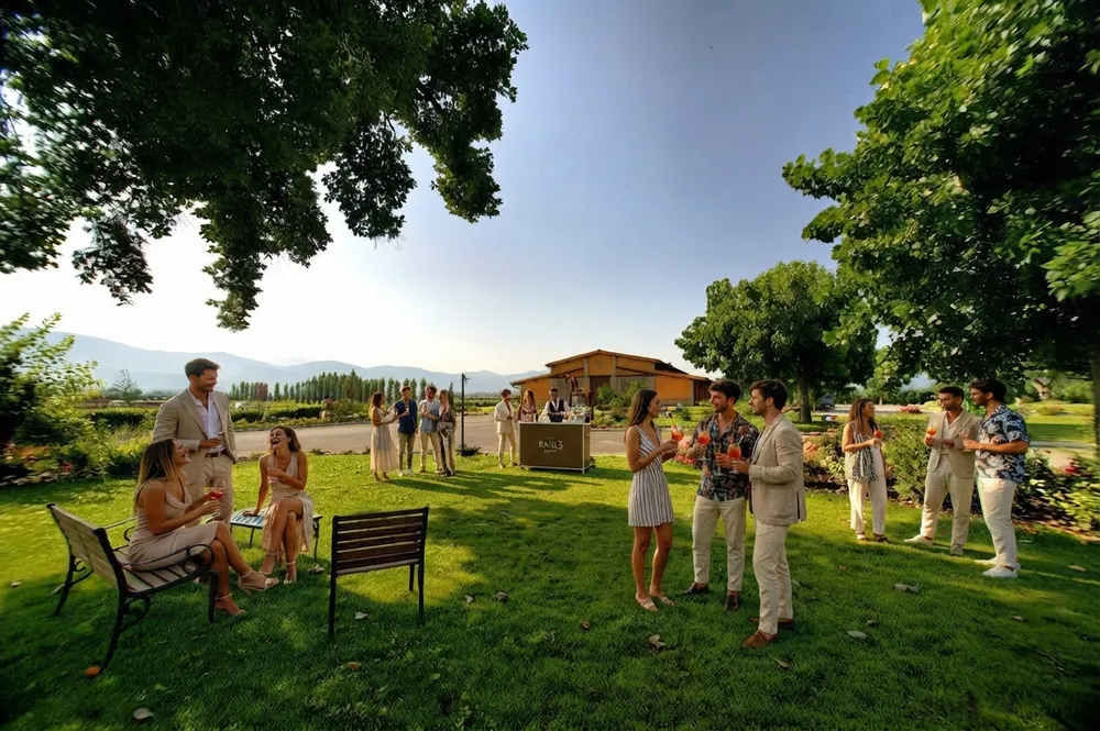 Guests in smart-casual clothes chatting with drinks on a green lawn, with a building and hills in the background