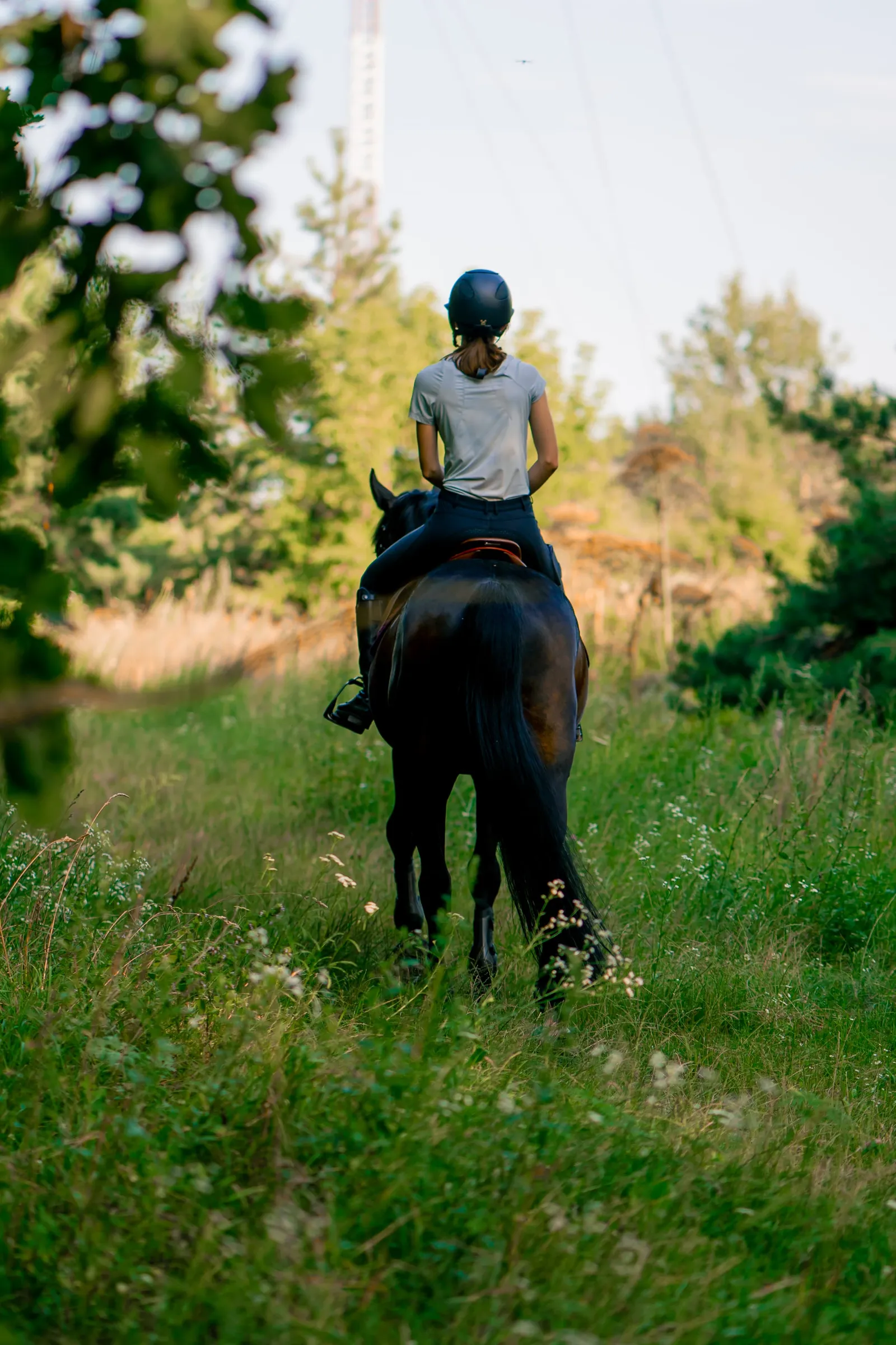 Rider with a helmet seen from behind on horseback in a flowering meadow among trees