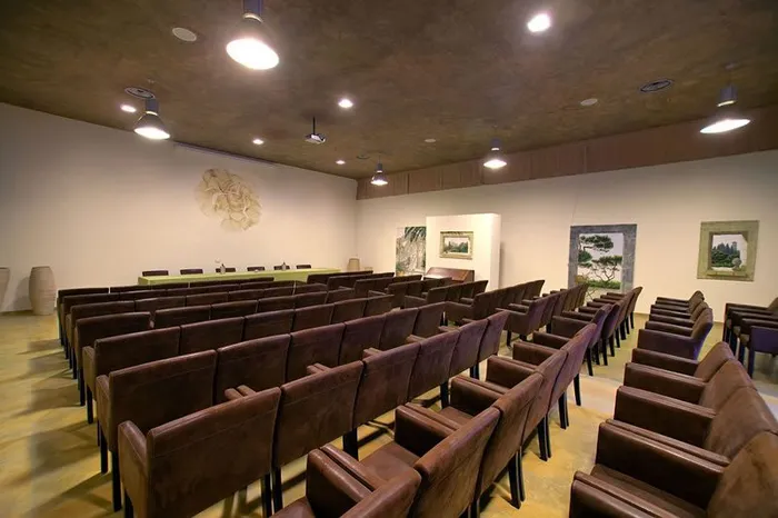 Conference room with rows of brown leather armchairs and a speakers' table