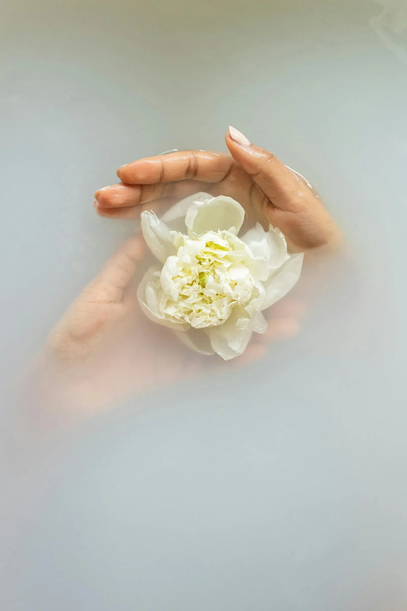 A hand holding a white flower on the milky water of a bath