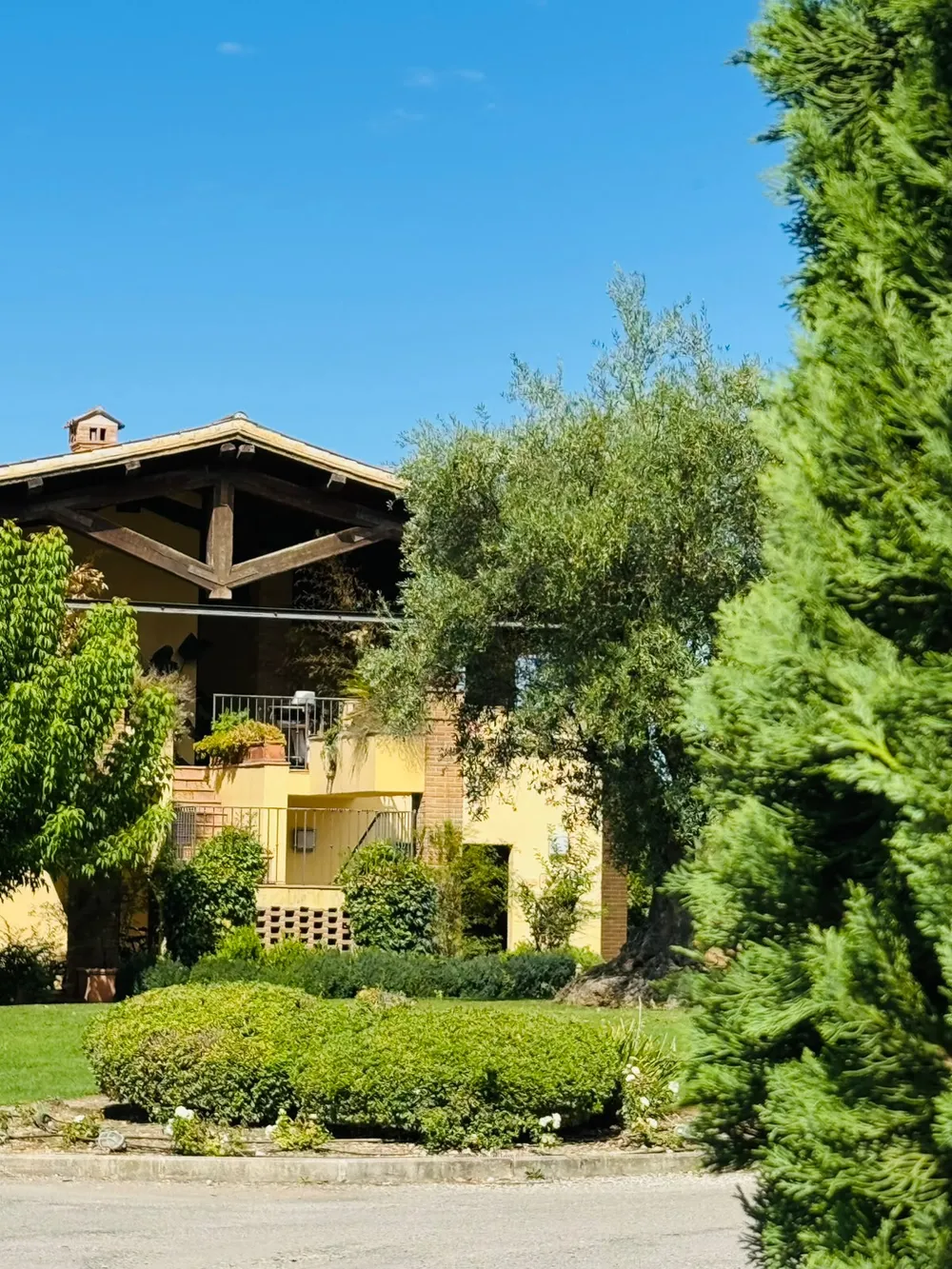 Yellow façade of the relais with exposed wooden beams, an olive tree and conifers in the garden