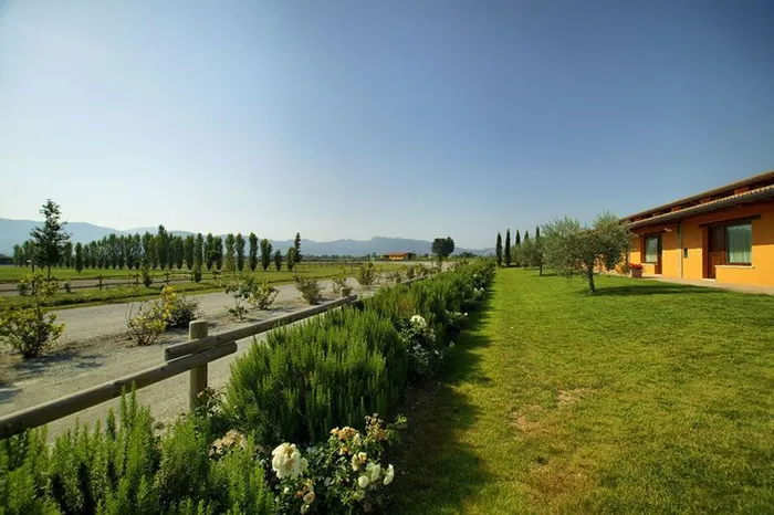 Drive lined with rosemary hedges and roses, with a fence, lawn and hills beyond