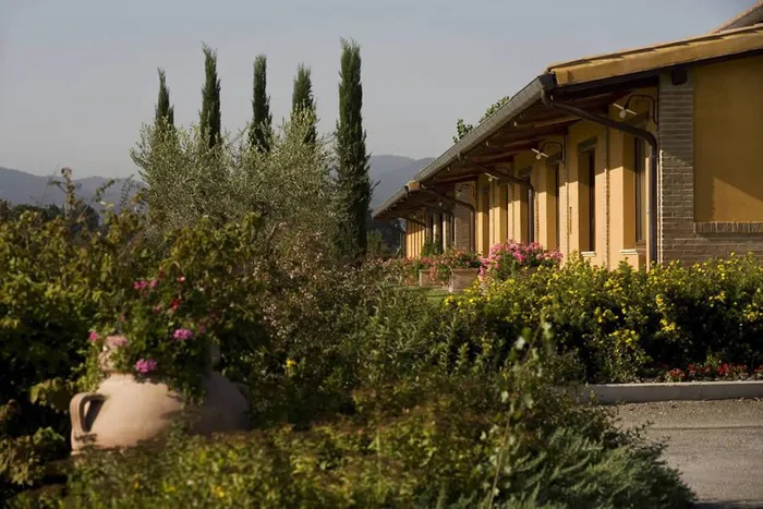 Il fianco dell'edificio fra siepi fiorite, cipressi, un ulivo e un grande orcio