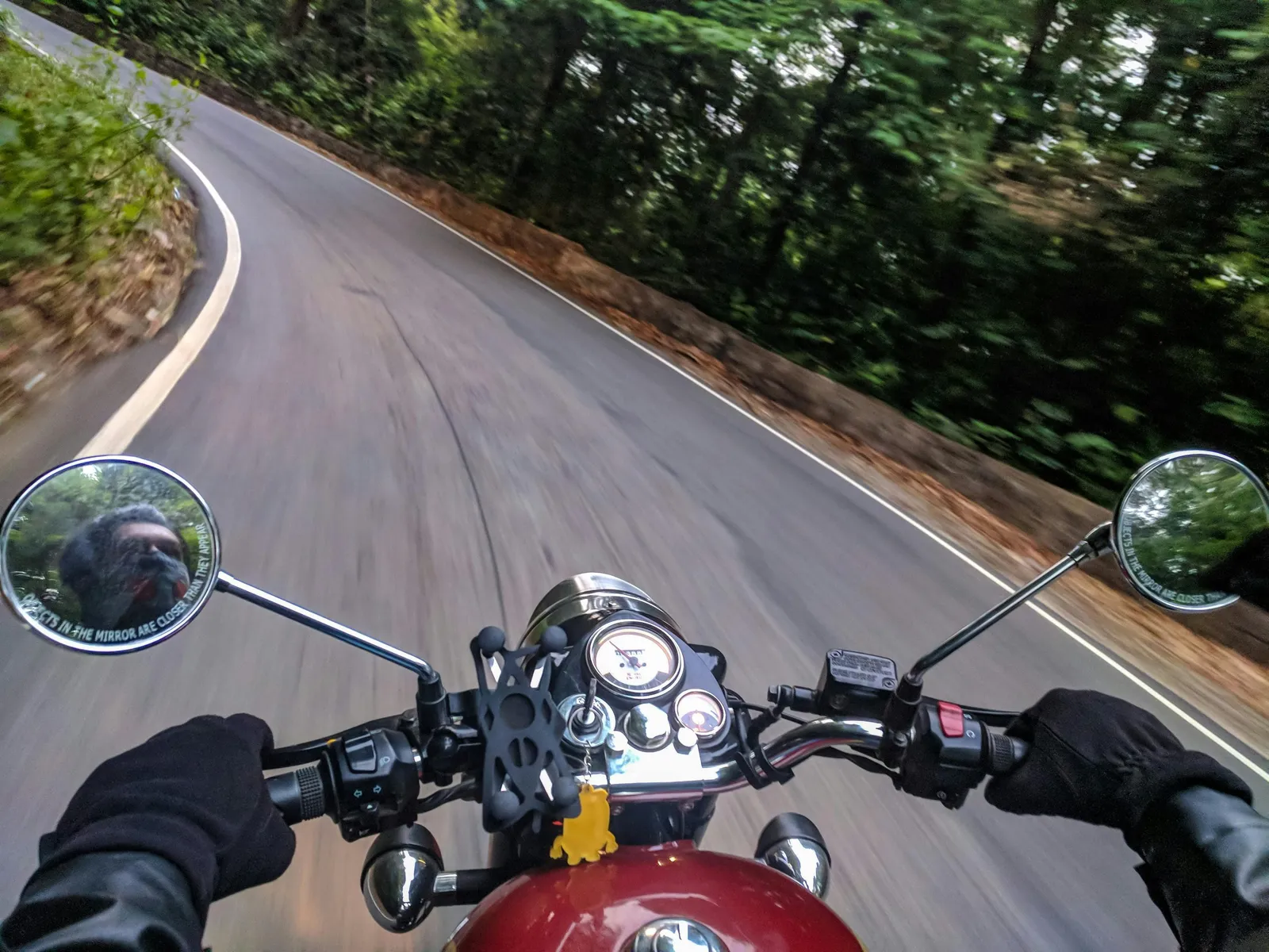Strada di montagna vista dal manubrio di una moto in curva, fra gli alberi del bosco