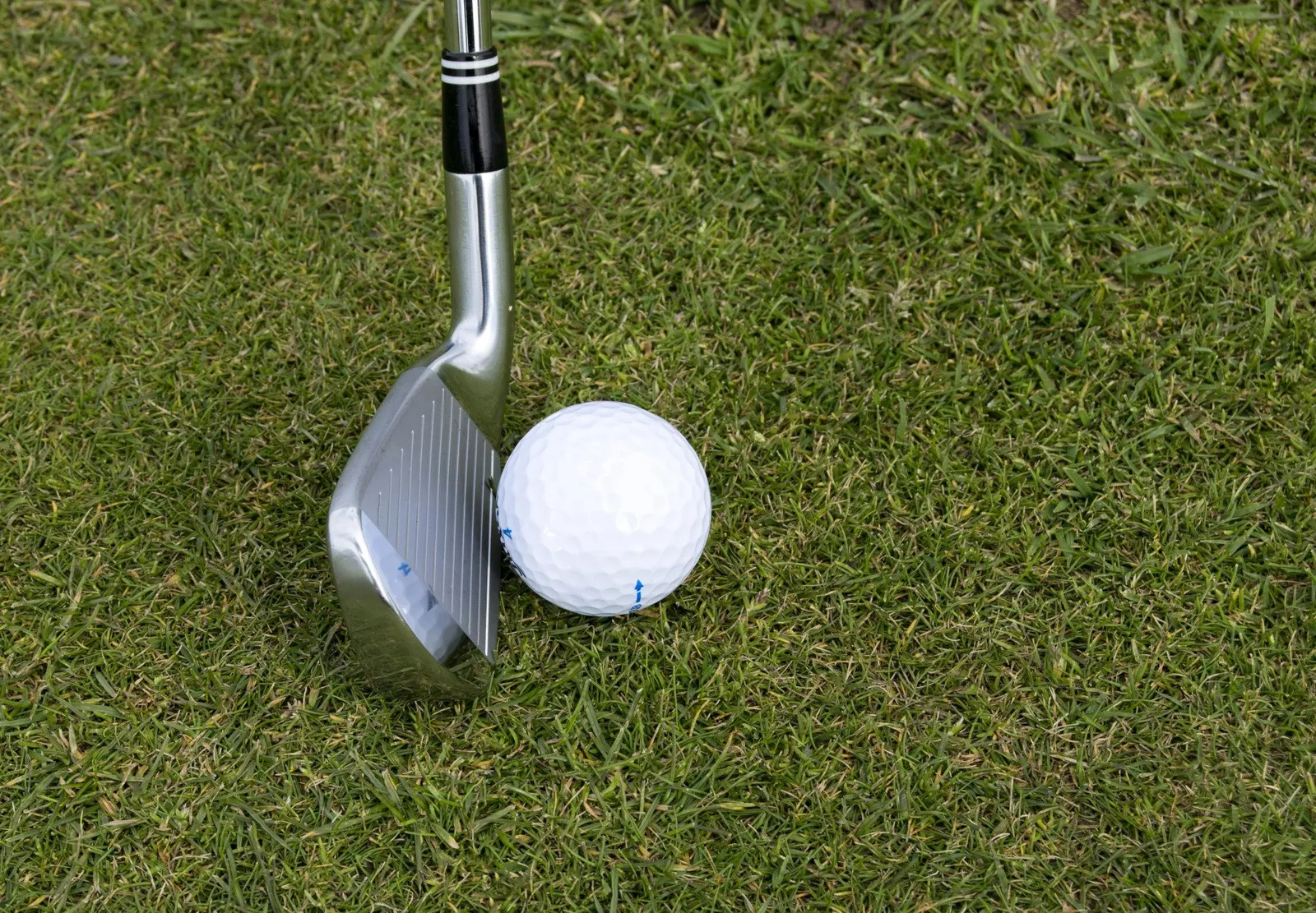 Mazza da golf appoggiata accanto a una pallina bianca sull'erba rasata del campo