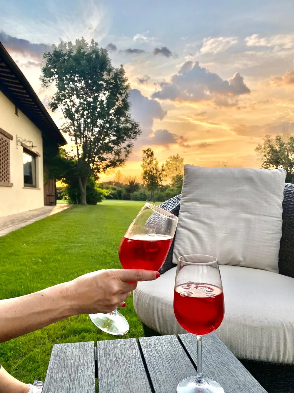 A toast with two glasses of red aperitif on the lawn at sunset